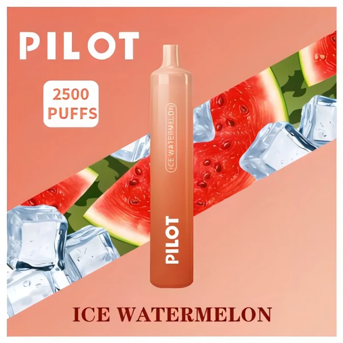 Pilot Max 2500 Puff Disposable Vape high quality